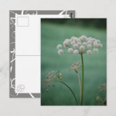 Landschaft 3 postkarte (Vorne/Hinten)