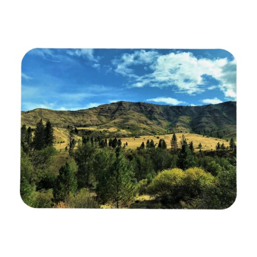 Landschaft am Fluss Snake, Oregon Magnet (Horizontal)