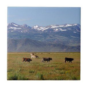 Landschaft an der California HWY 395 Fliese
