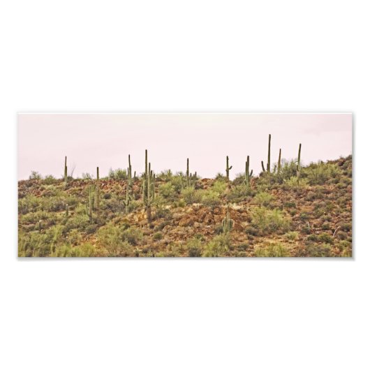 Landschaft Arizona Cactus Fotodruck (Vorne)