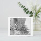 Landschaft auf der Deadwood Road nach Sturgis Postkarte (Stehend Vorderseite)