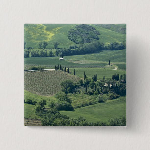 Landschaft bei Montepulciano, Val d'Orcia, Button