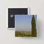 Landschaft bei Pienza. Val d'Orcia, Siena Button (Vorne & Hinten)