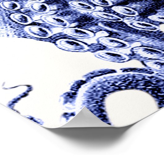 Landschaft Blauer Krake Poster (Ecke)