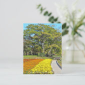 Landschaft Chinaberry und Marigold Blume Bett Postkarte (Stehend Vorderseite)