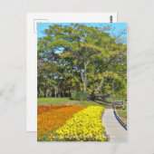 Landschaft Chinaberry und Marigold Blume Bett Postkarte (Vorne/Hinten)
