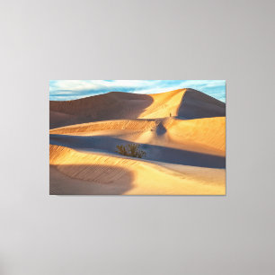 Landschaft der Dünen der Wüste mit einseitiger Abb Leinwanddruck