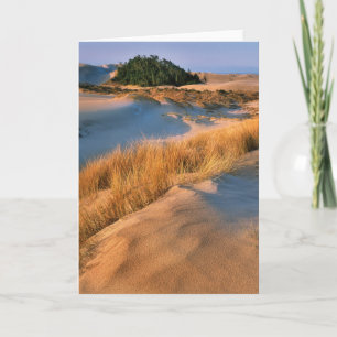 Landschaft der Dünen von Oregon Karte