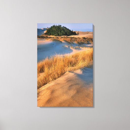 Landschaft der Dünen von Oregon Leinwanddruck (Vorderseite)