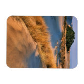 Landschaft der Dünen von Oregon Magnet (Horizontal)