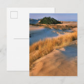Landschaft der Dünen von Oregon Postkarte (Vorne/Hinten)