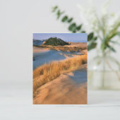 Landschaft der Dünen von Oregon Postkarte (Stehend Vorderseite)