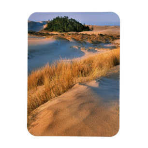 Landschaft der Oregon-Sanddünen Magnet