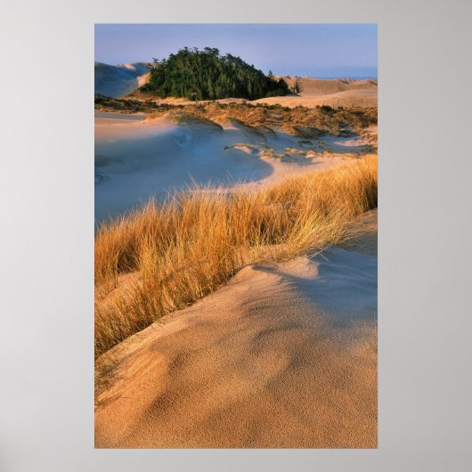 Landschaft der Oregon-Sanddünen Poster (Vorne)