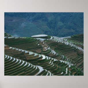 Landschaft der Reisterrassen im Gebirge, 2 Poster