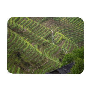 Landschaft der Reisterrassen im Gebirge, Magnet