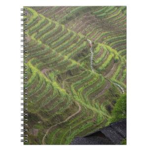 Landschaft der Reisterrassen im Gebirge, Notizblock