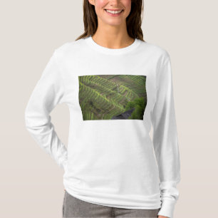 Landschaft der Reisterrassen im Gebirge, T-Shirt