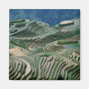 Landschaft der Reisterrassen in den Bergen, Magnet