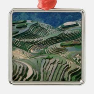Landschaft der Reisterrassen in den Bergen, Silbernes Ornament