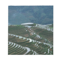 Landschaft der Reiterrassen im Berg, 2