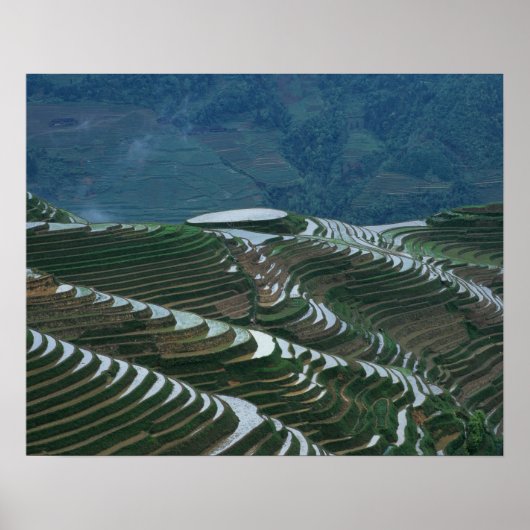 Landschaft der Reiterrassen im Berg, 2 Poster (Vorne)