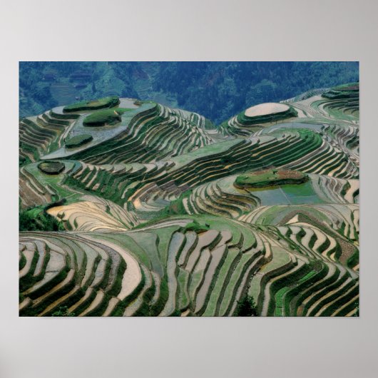 Landschaft der Reiterrassen im Berg, Poster (Vorne)