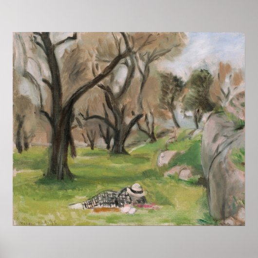 Landschaft der Südmatisse Poster (Vorne)