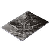 Landschaft - Der verbotene Wald Notizblock (Linke Seite)