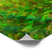 Landschaft des Costello Sees Poster (Ecke)