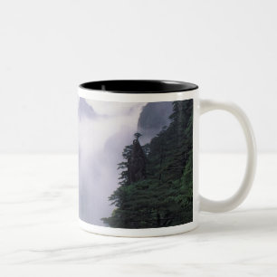 Landschaft des Mt. Huangshan (Gelber Berg) in Zweifarbige Tasse
