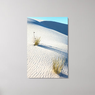 Landschaft des White Sands National Park Leinwanddruck