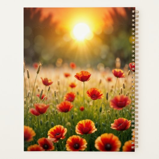 Landschaft Esel neugierige Augen friedliche Kunst Planer (Rückseite)