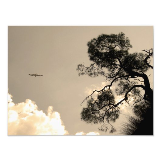 Landschaft Fotodruck (Vorne)