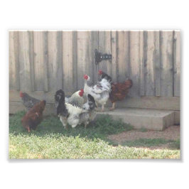 Landschaft Fotodruck