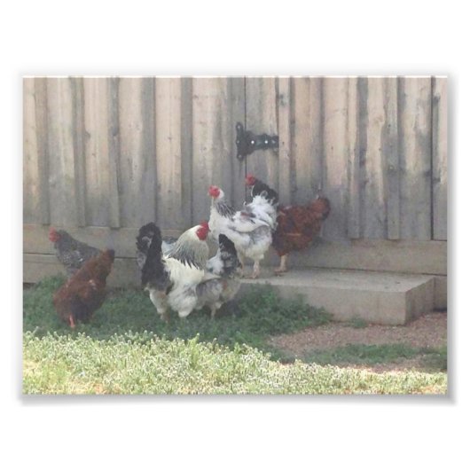 Landschaft Fotodruck (Vorne)