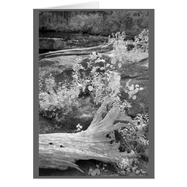 Landschaft im ländlichen New Hampshire (Vorne)