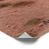 Landschaft im Nationalpark Arches Poster (Ecke)