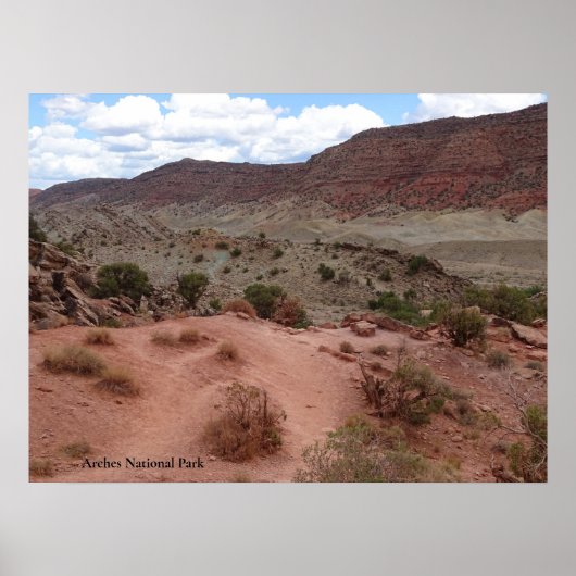 Landschaft im Nationalpark Arches Poster (Vorne)