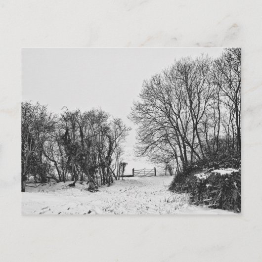 Landschaft im Schnee Postkarte (Vorderseite)