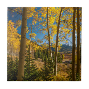 Landschaft in den San Juan Mountains Fliese