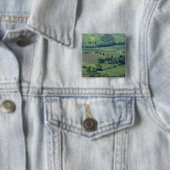 Landschaft in der Nähe von Montepulciano, Val d'Or Button (Beispiel)
