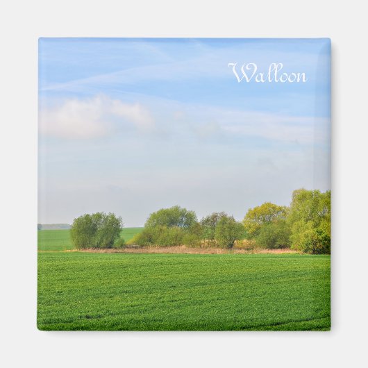 Landschaft in Wallonien, Provinz Liege Magnet (Vorne)