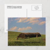Landschaft KANSAS Postkarte (Vorne/Hinten)