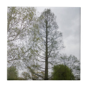 Landschaft Klein (4,25" x 4,25") Keramik-Foto-Kach Fliese
