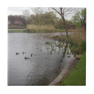 Landschaft Klein (4,25" x 4,25") Keramik Foto Tile Fliese