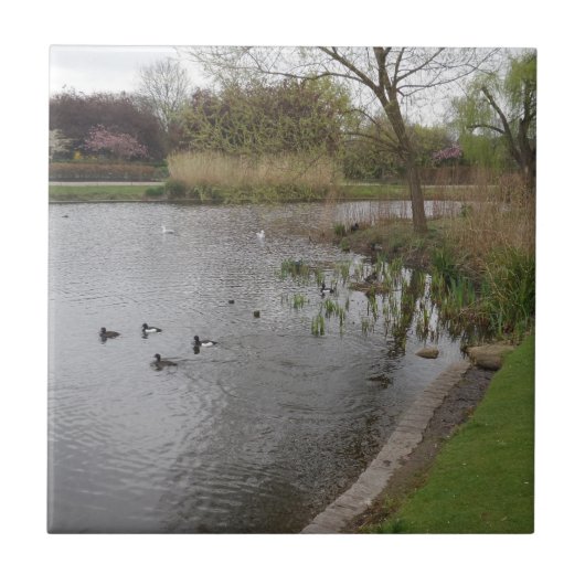 Landschaft Klein (4,25" x 4,25") Keramik Foto Tile Fliese (Vorderseite)