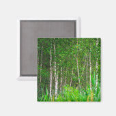 Landschaft Landschaft Birkenbäume Magnet (Vorderseite/Rückseite)