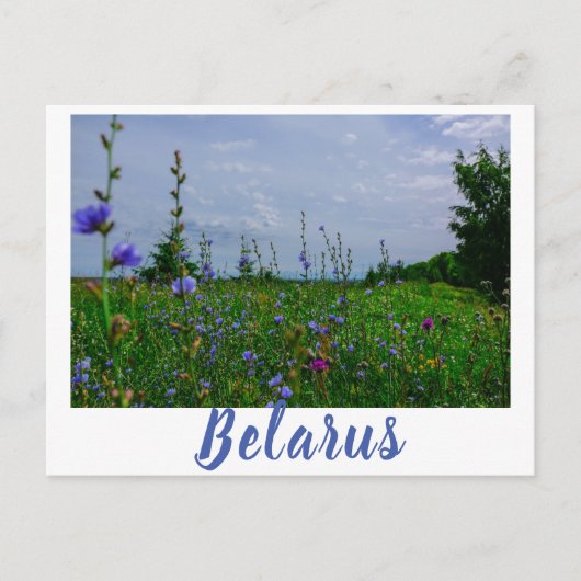 Landschaft Landschaft Landschaft Landschaft Feld B Postkarte (Vorderseite)