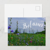 Landschaft Landschaft Landschaft Landschaft Feld B Postkarte (Vorne/Hinten)